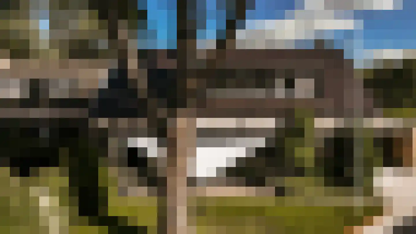 Ulst 24 Nijkerk thumbnail 10