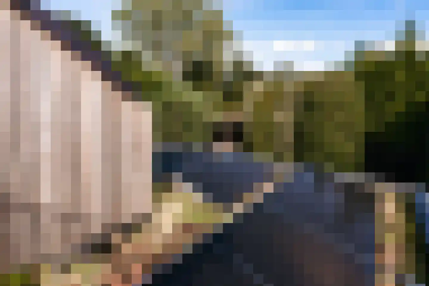 Ulst 24 Nijkerk thumbnail 101