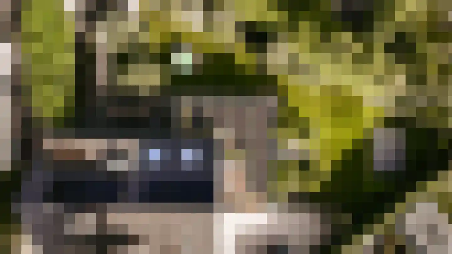 Ulst 24 Nijkerk thumbnail 102