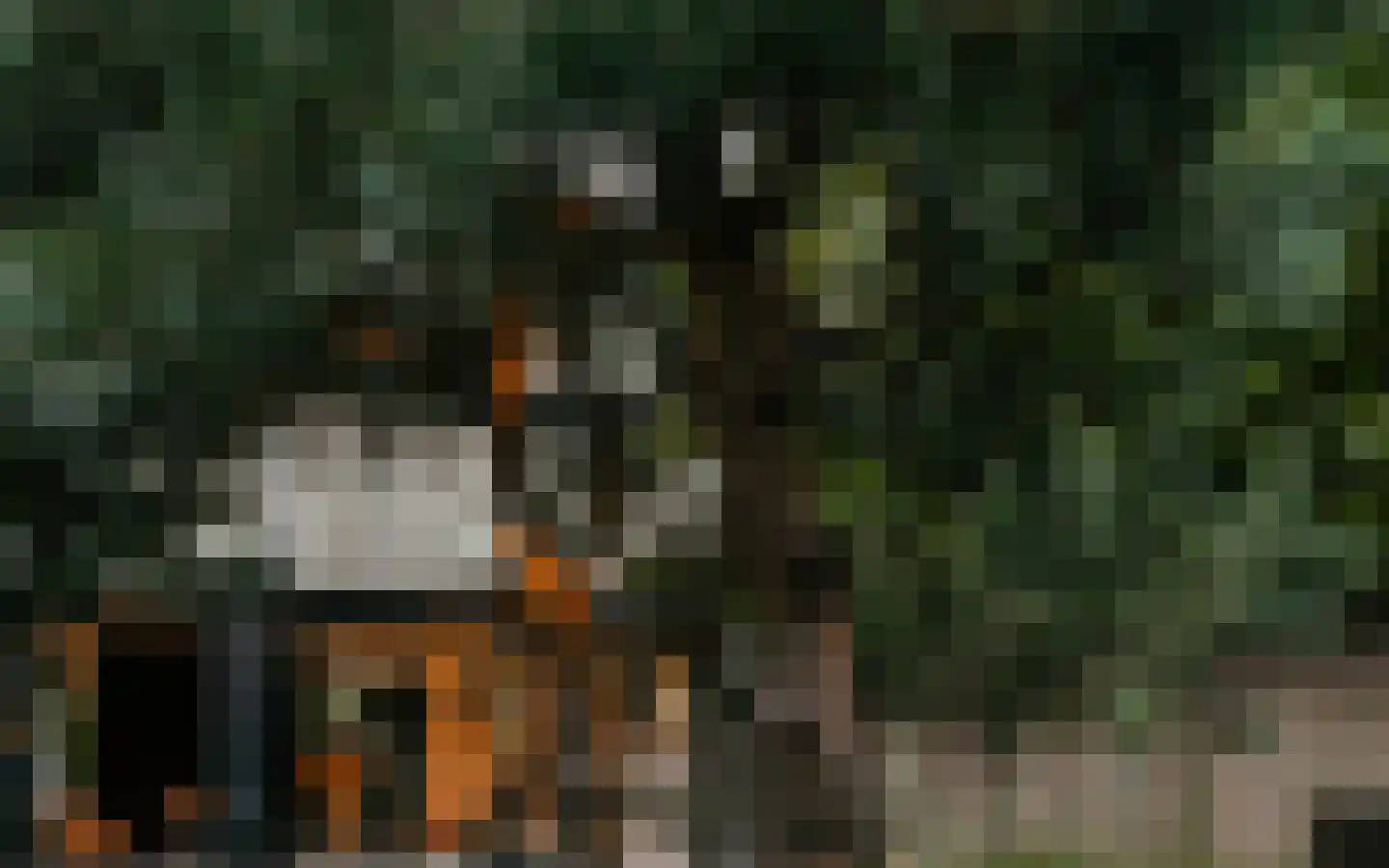 Ulst 24 Nijkerk thumbnail 106