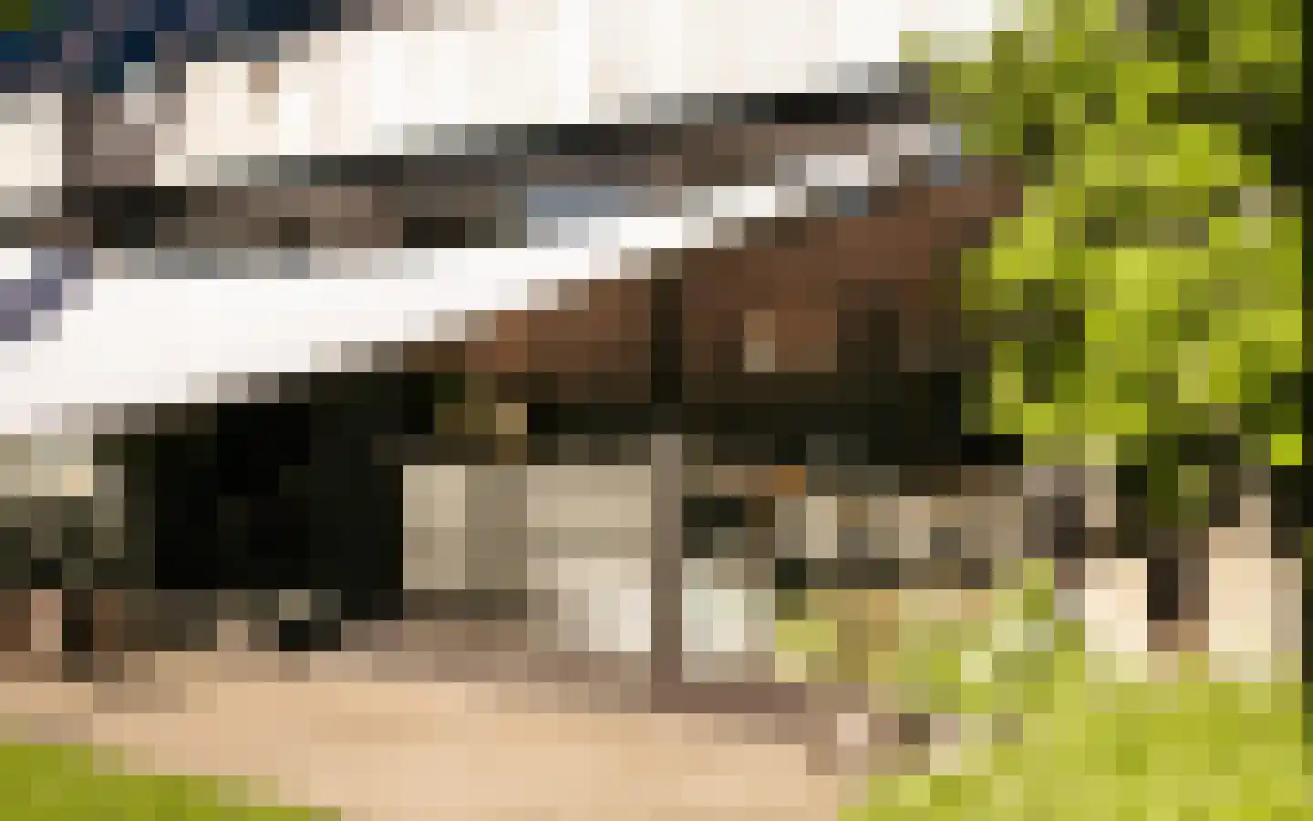 Ulst 24 Nijkerk thumbnail 12