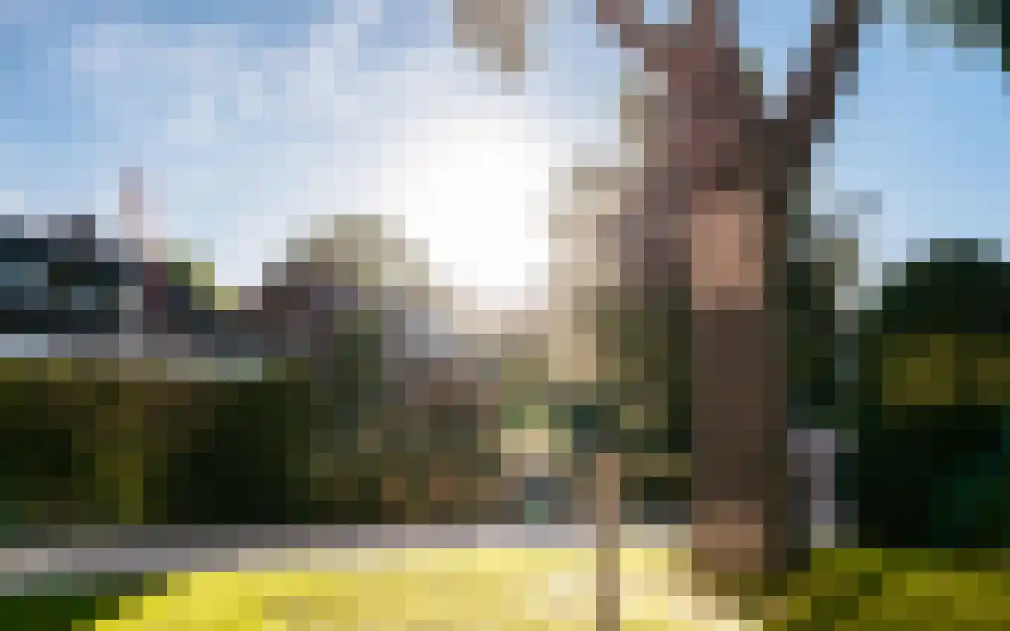 Ulst 24 Nijkerk thumbnail 13