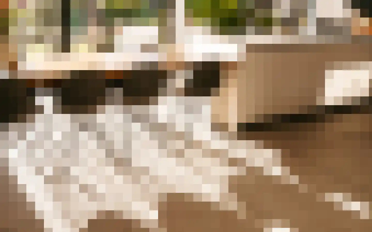 Ulst 24 Nijkerk thumbnail 33