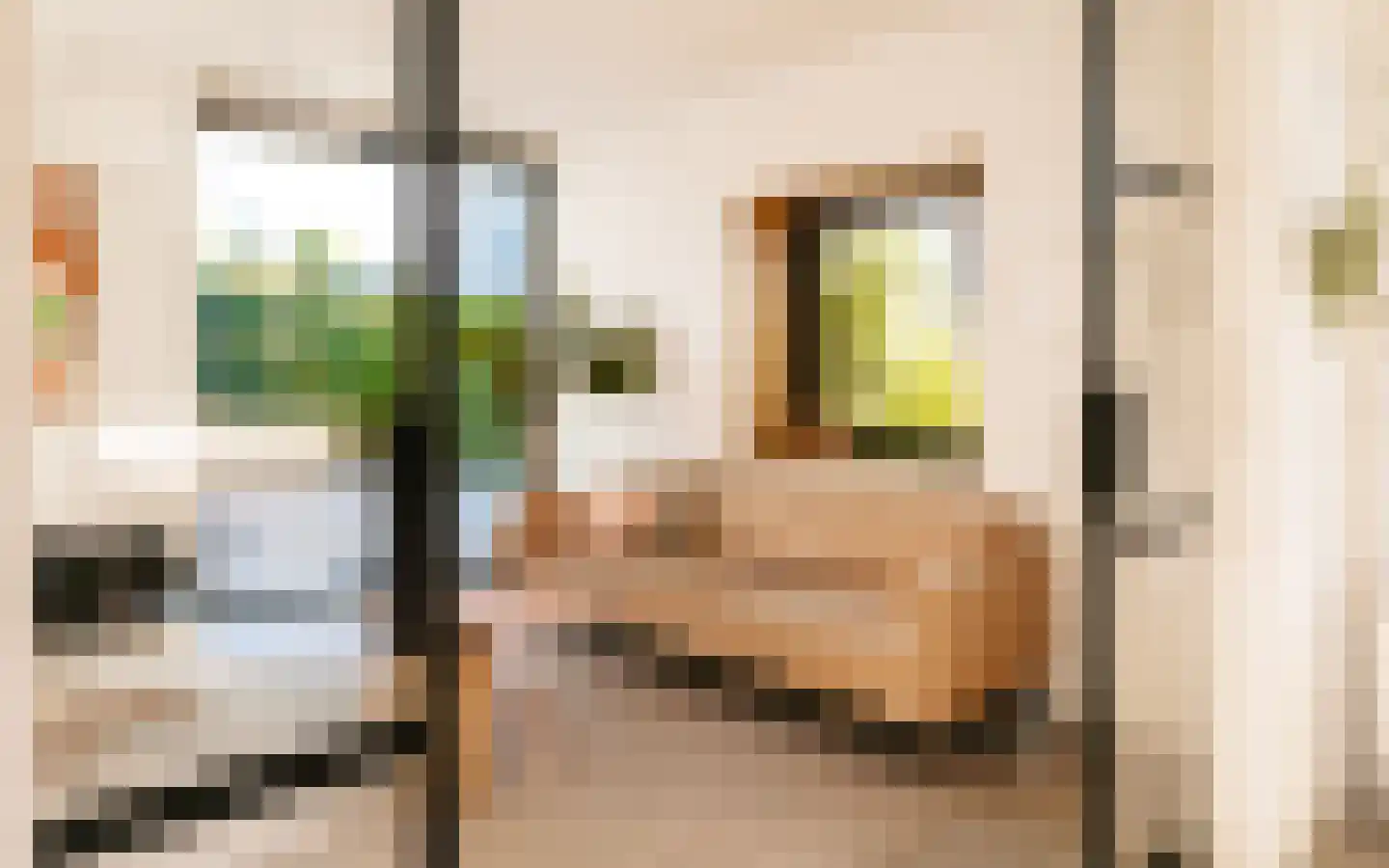 Ulst 24 Nijkerk thumbnail 40