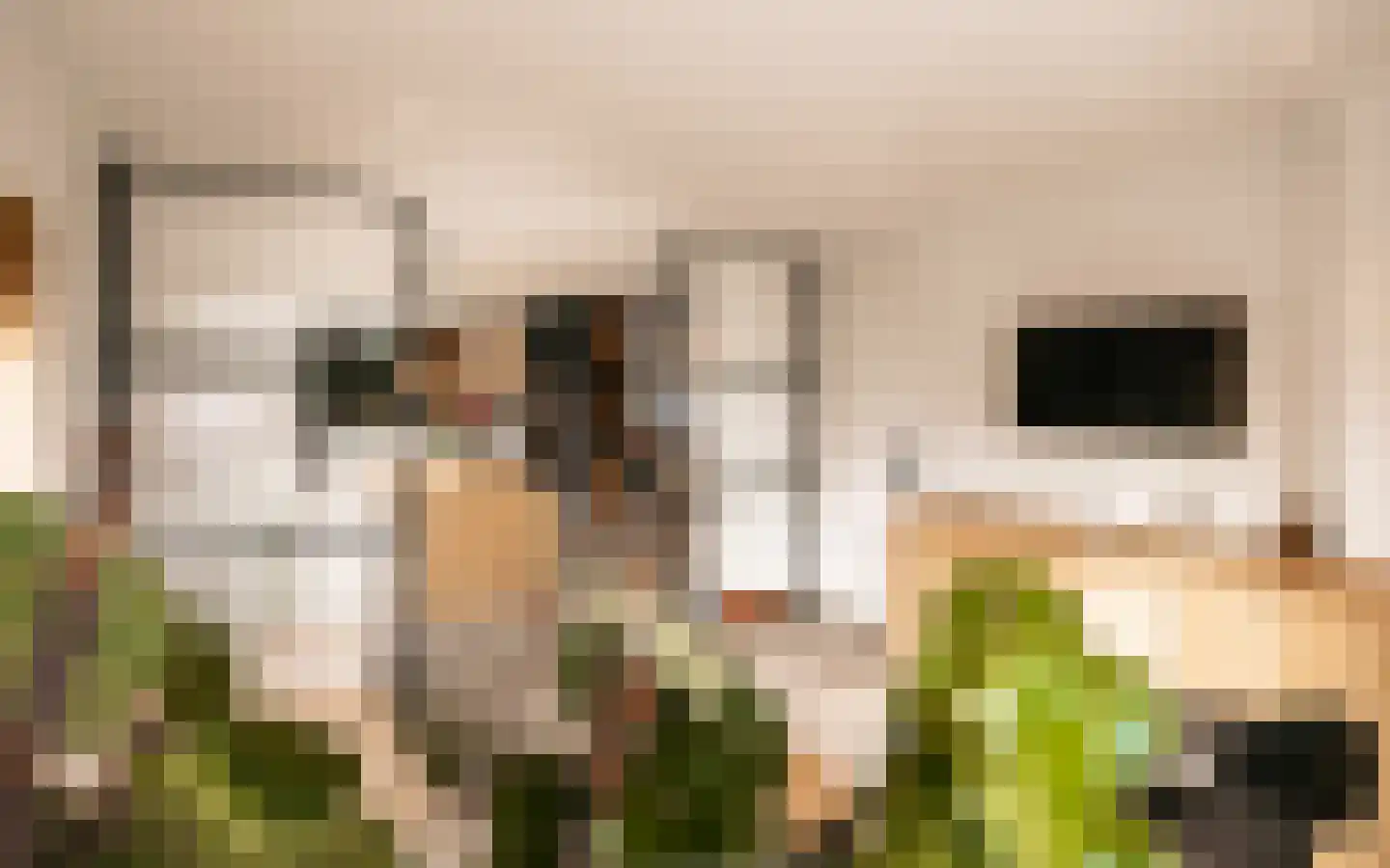 Ulst 24 Nijkerk thumbnail 44