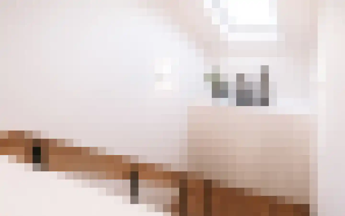 Ulst 24 Nijkerk thumbnail 48