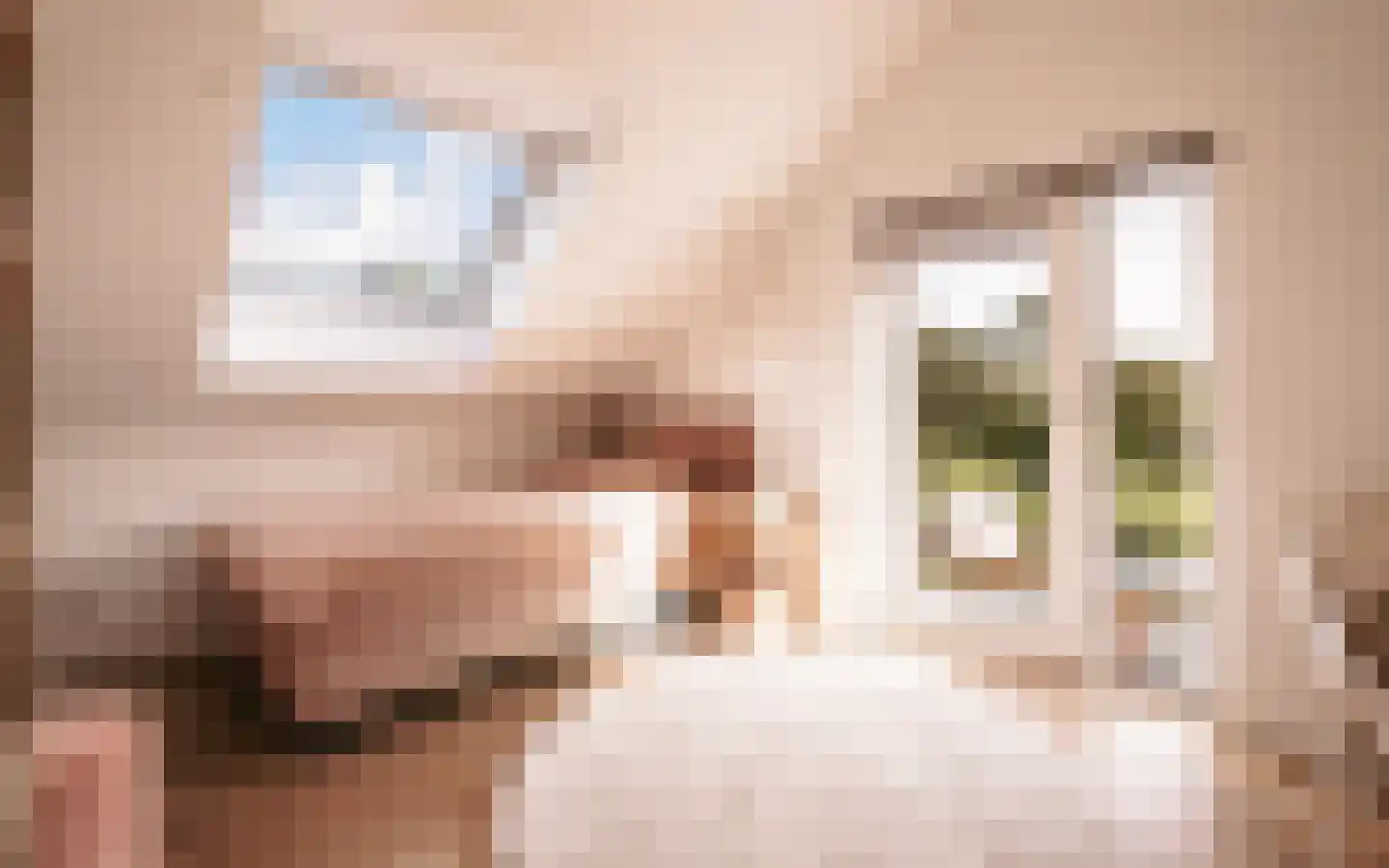 Ulst 24 Nijkerk thumbnail 55