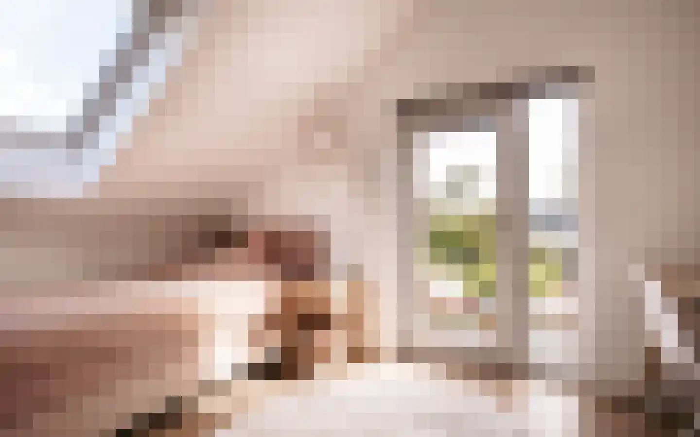 Ulst 24 Nijkerk thumbnail 56