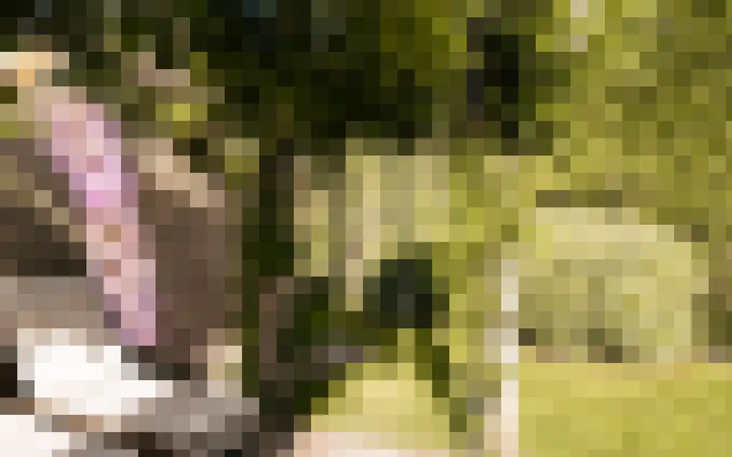 Ulst 24 Nijkerk thumbnail 71