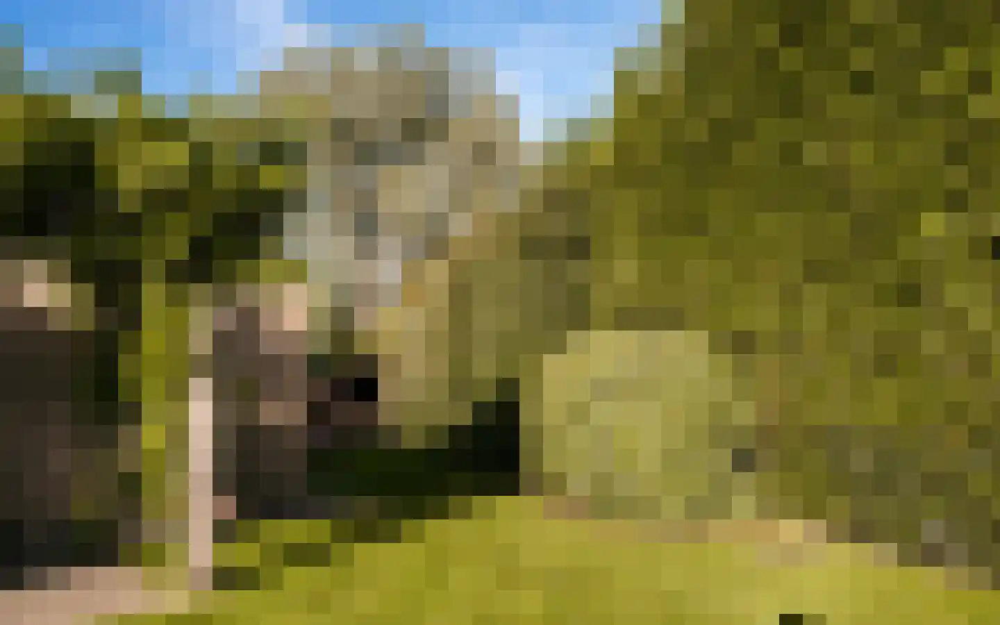 Ulst 24 Nijkerk thumbnail 72