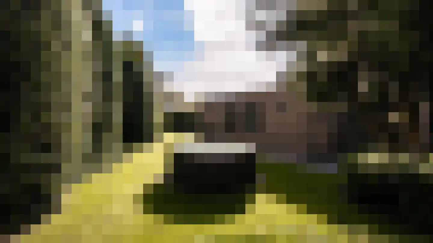 Ulst 24 Nijkerk thumbnail 74
