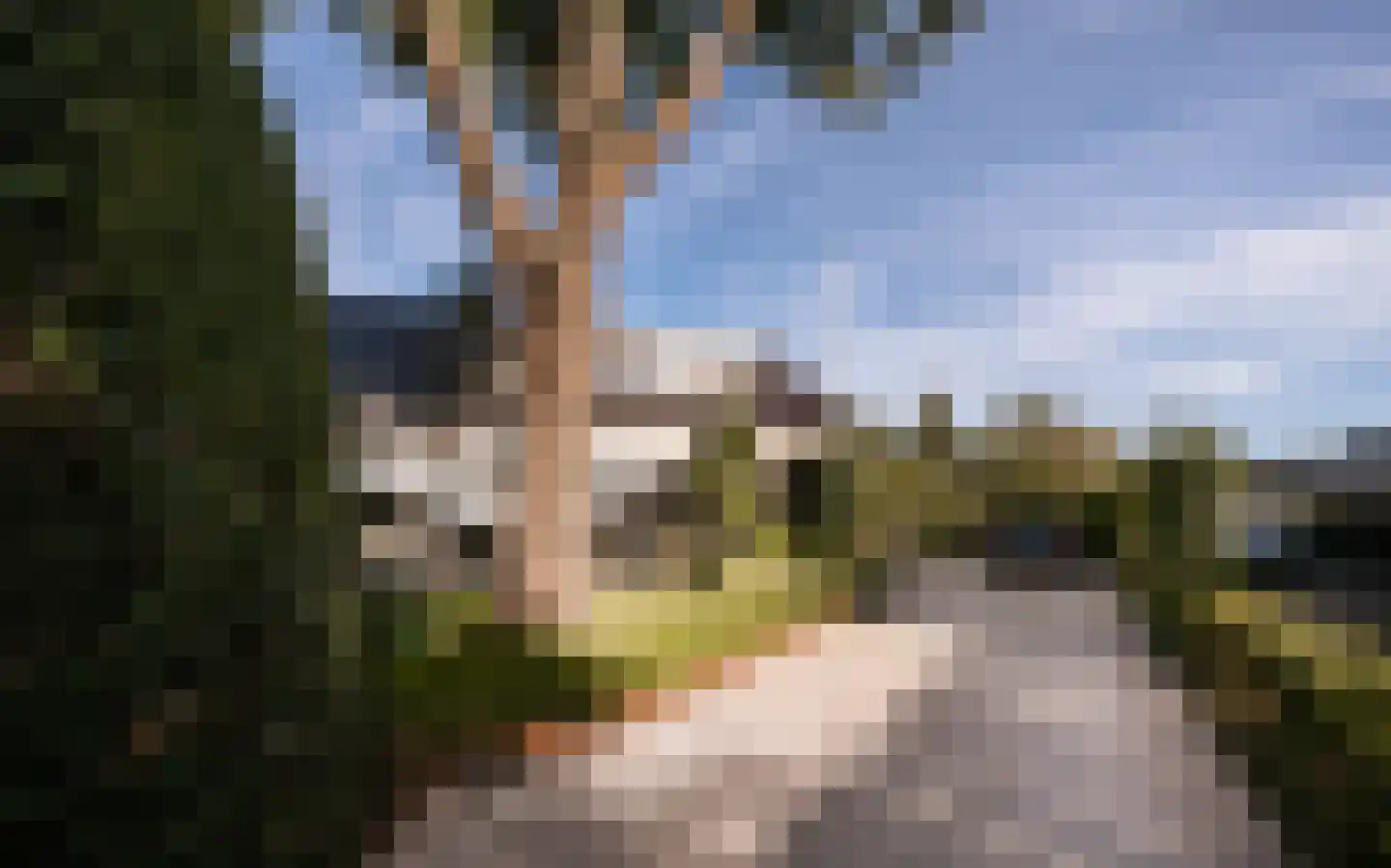 Ulst 24 Nijkerk thumbnail 8