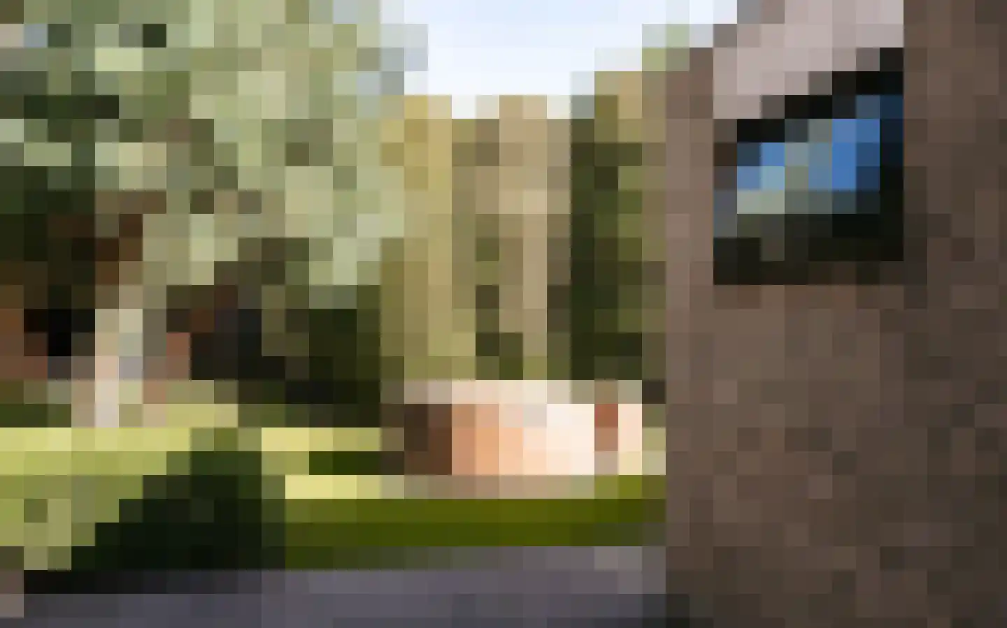 Ulst 24 Nijkerk thumbnail 81