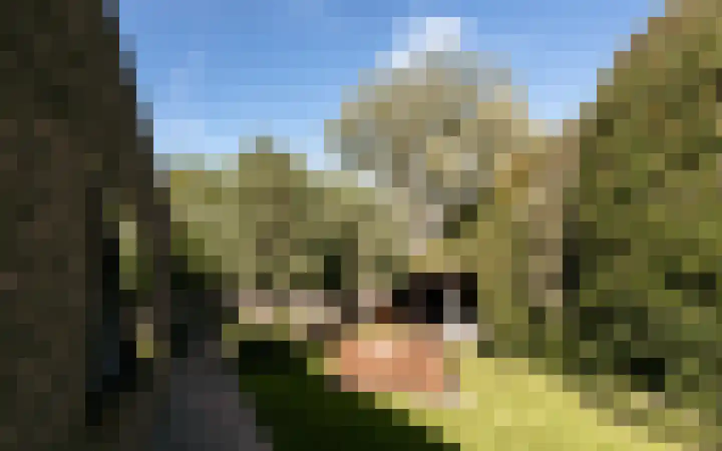 Ulst 24 Nijkerk thumbnail 82