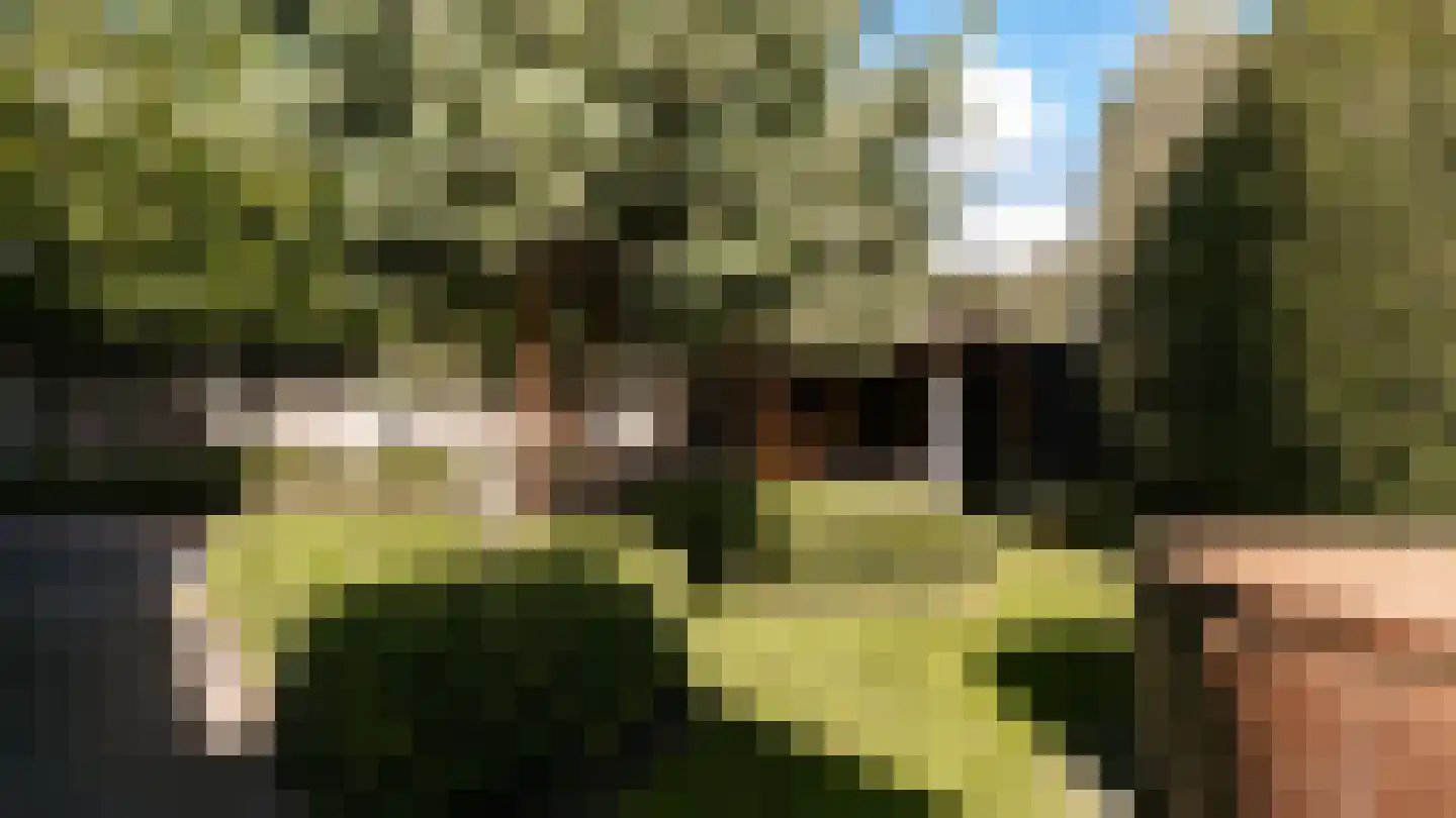 Ulst 24 Nijkerk thumbnail 83