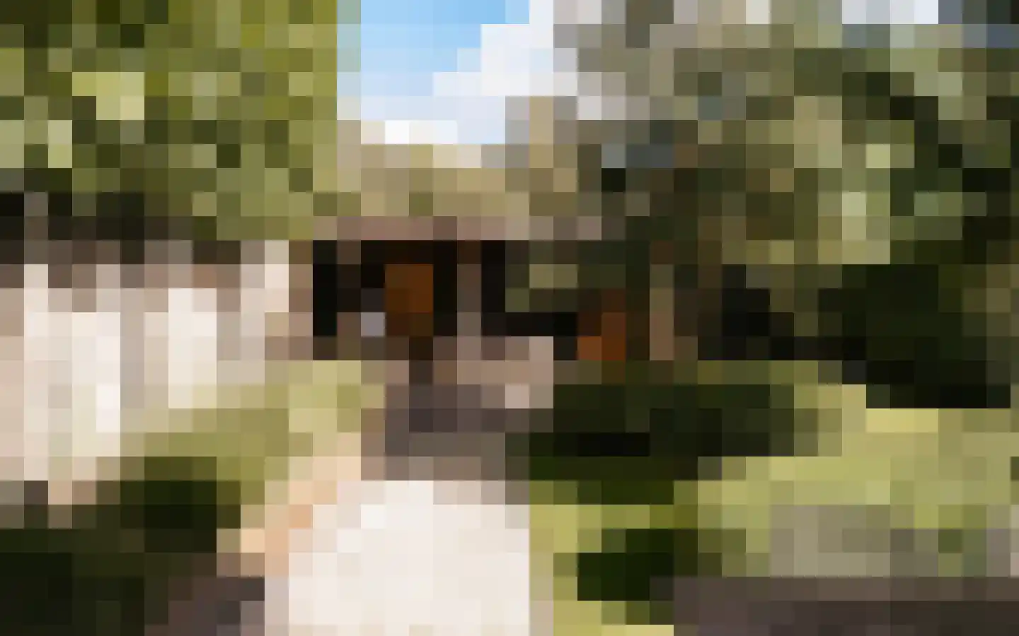 Ulst 24 Nijkerk thumbnail 84