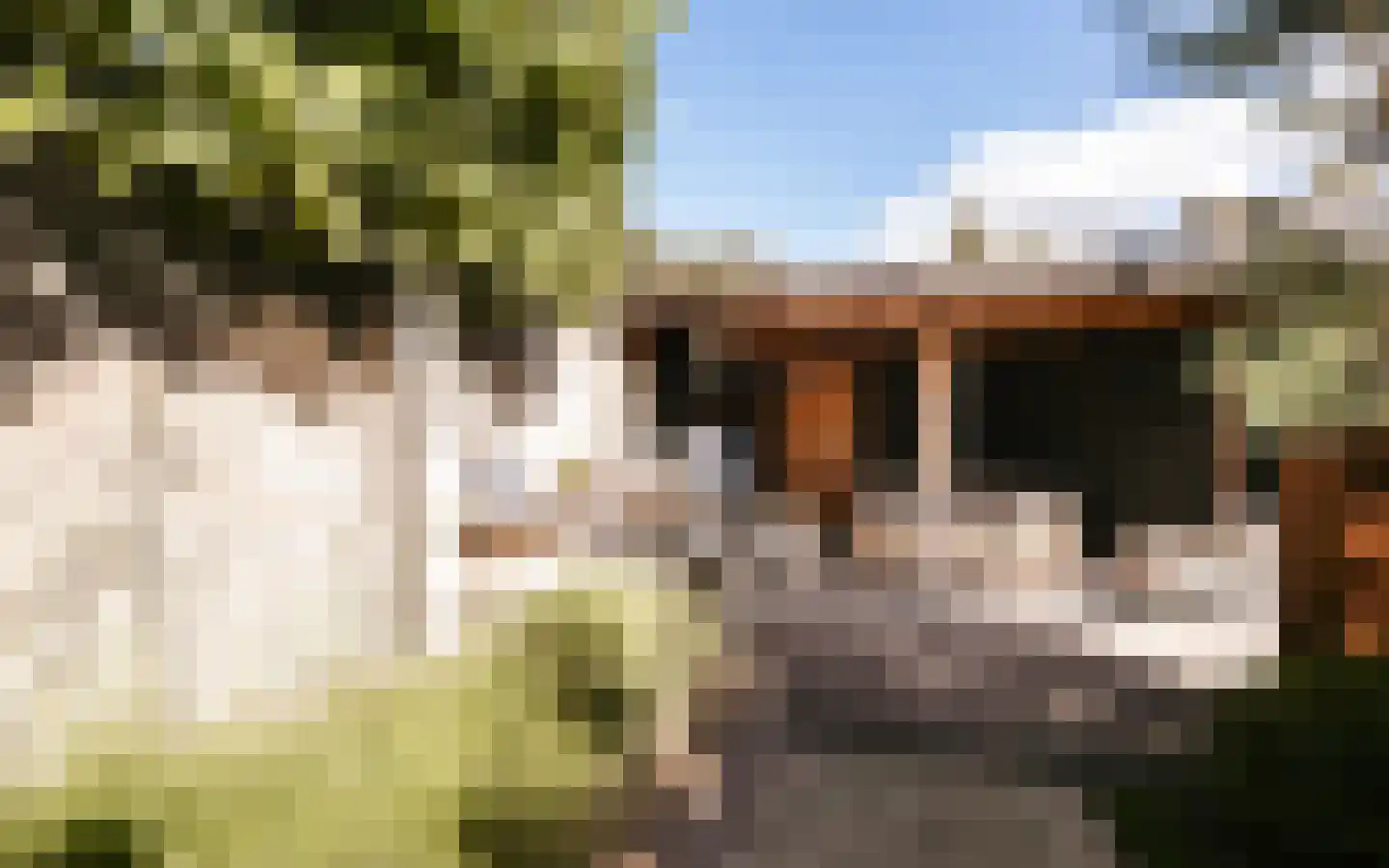 Ulst 24 Nijkerk thumbnail 85