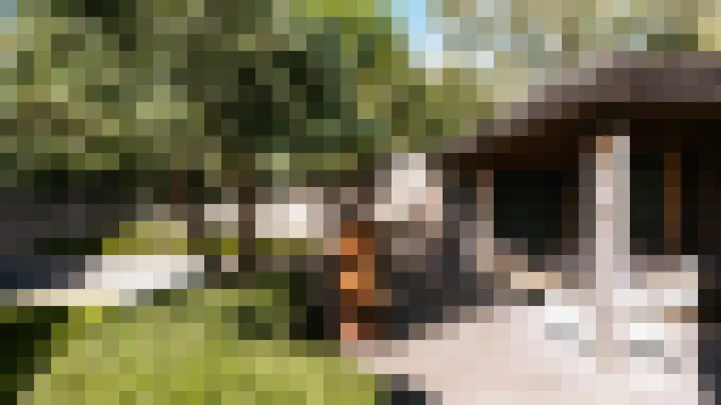Ulst 24 Nijkerk thumbnail 86