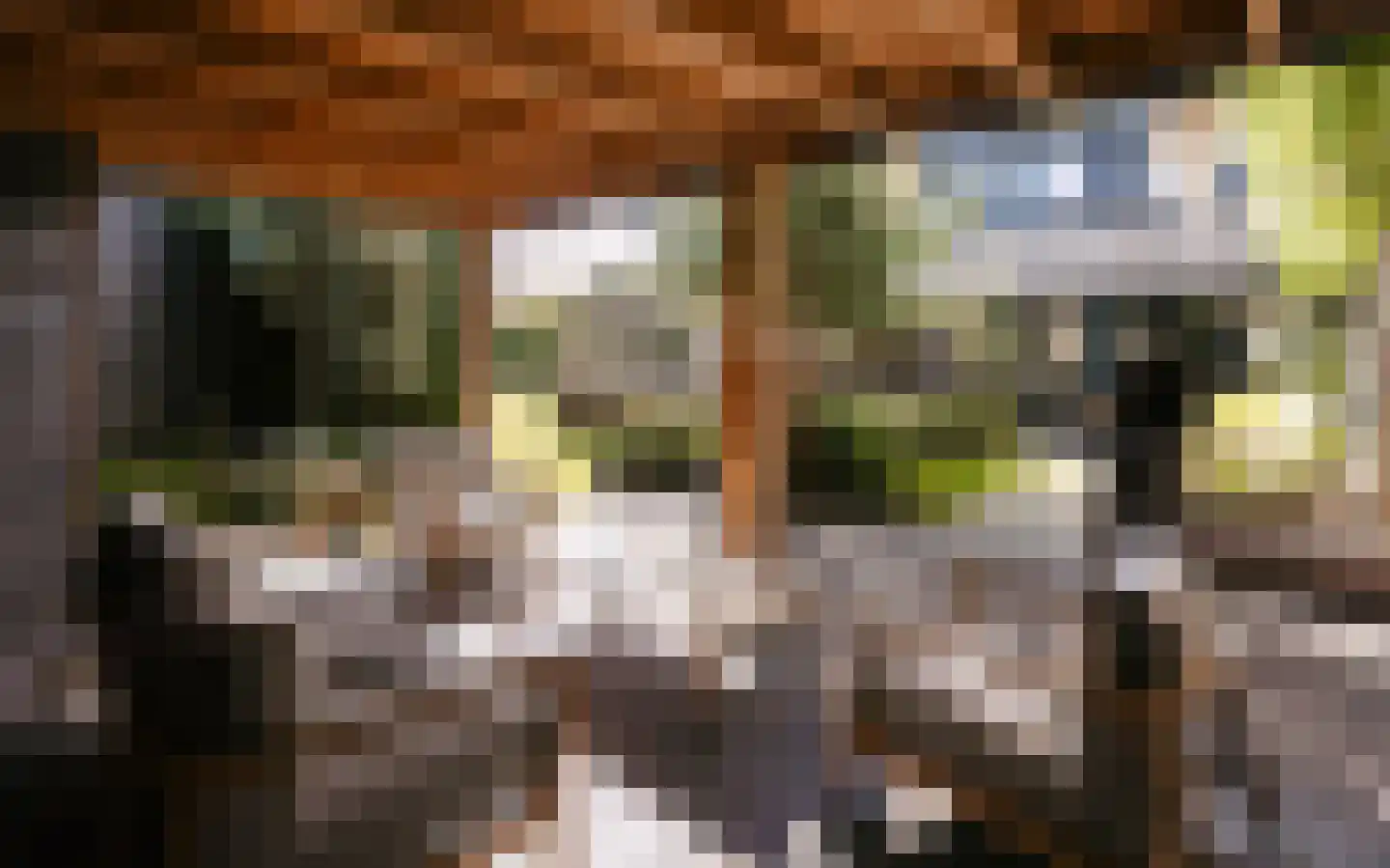 Ulst 24 Nijkerk thumbnail 87