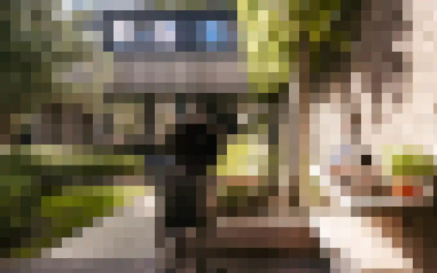 Ulst 24 Nijkerk thumbnail 88