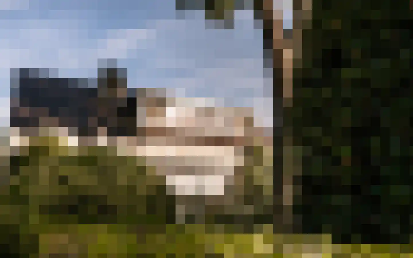 Ulst 24 Nijkerk thumbnail 9