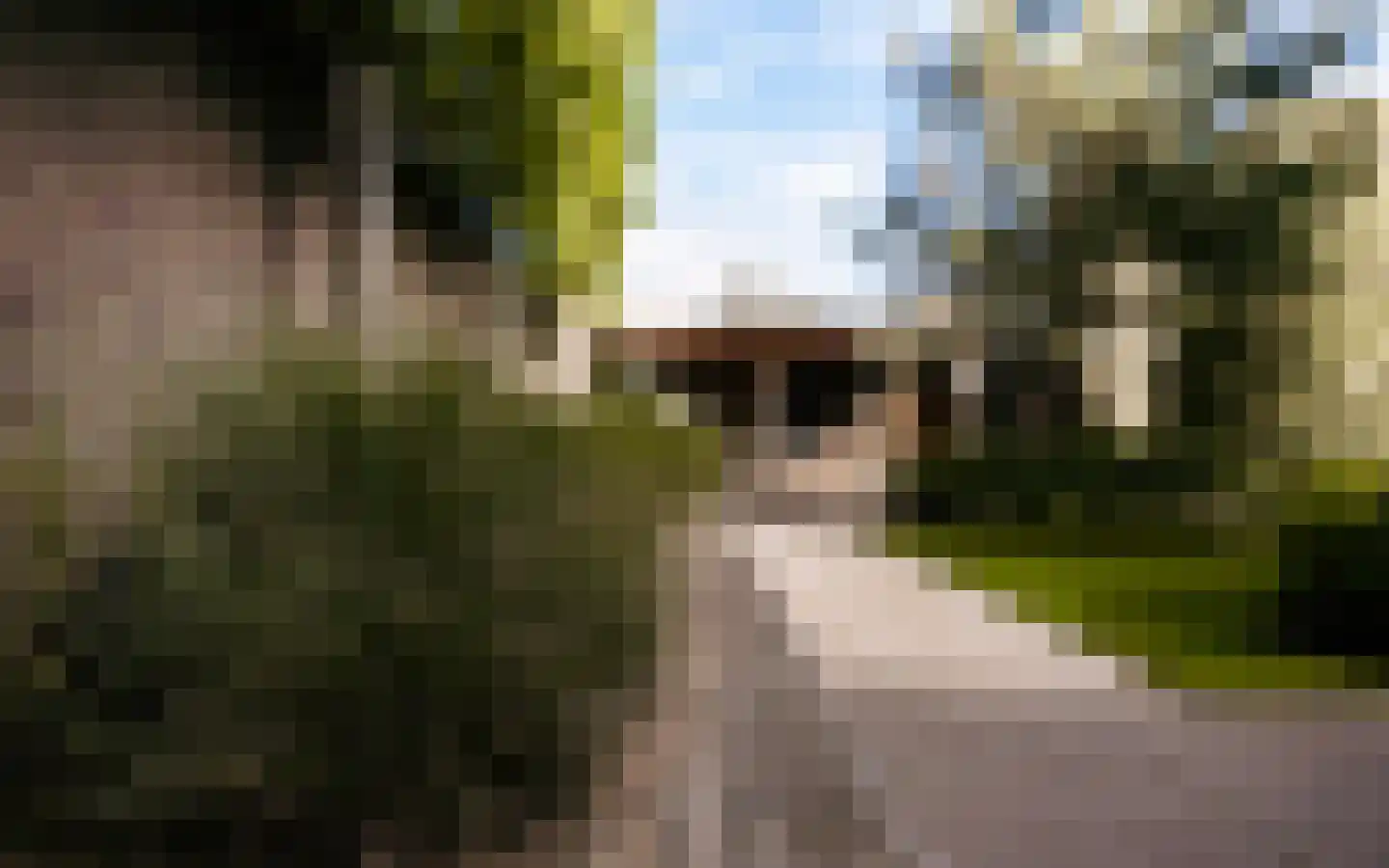 Ulst 24 Nijkerk thumbnail 92