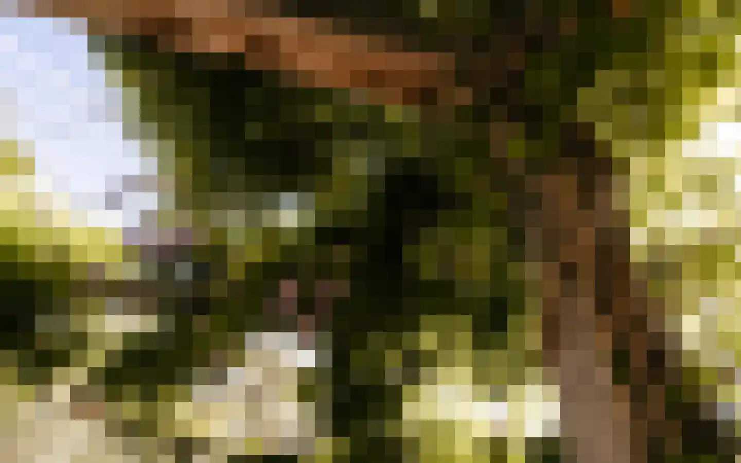 Ulst 24 Nijkerk thumbnail 94