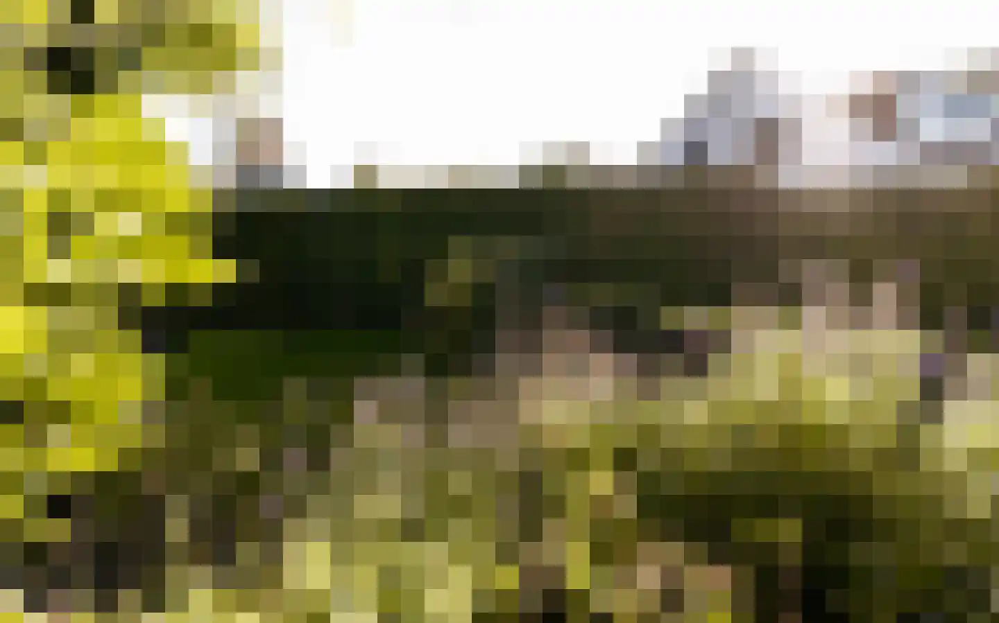 Ulst 24 Nijkerk thumbnail 96