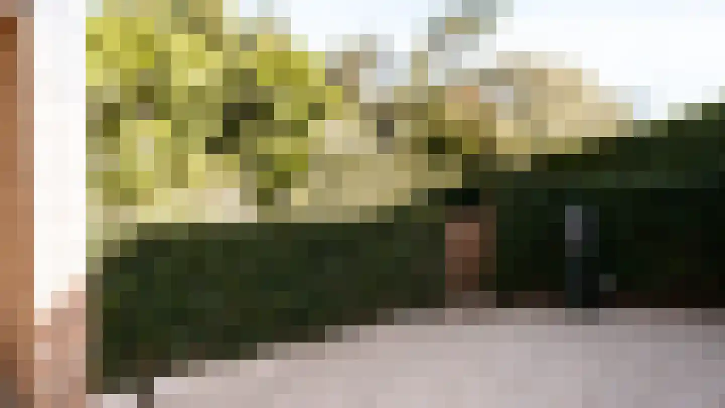 Ulst 24 Nijkerk thumbnail 99