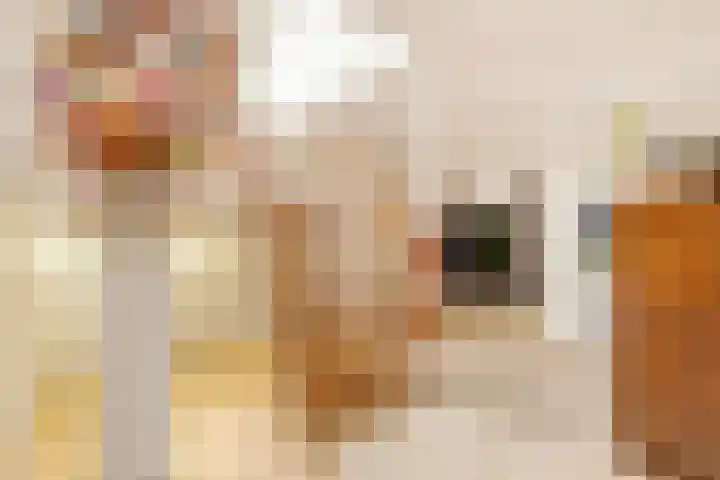 Ulst 38 Nijkerk thumbnail 11