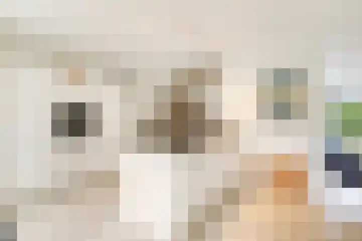 Ulst 38 Nijkerk thumbnail 18