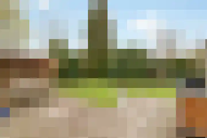 Ulst 38 Nijkerk thumbnail 36