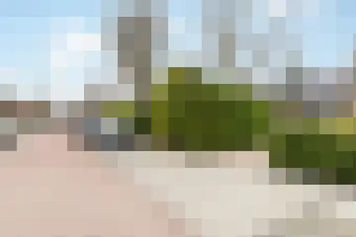 Ulst 38 Nijkerk thumbnail 40