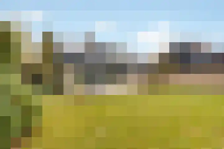 Ulst 38 Nijkerk thumbnail 5