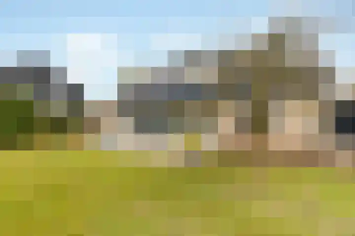 Ulst 38 Nijkerk thumbnail 6