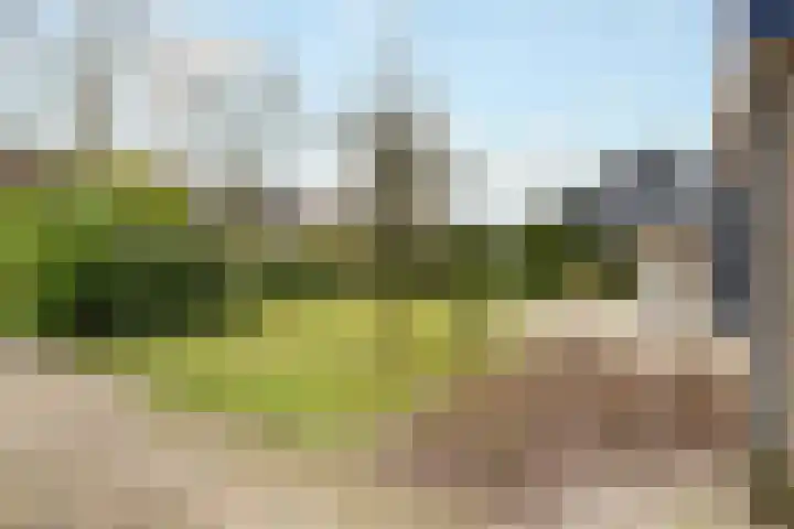 Ulst 38 Nijkerk thumbnail 7