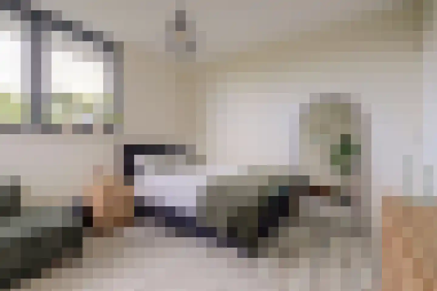 Ultramarijn 20 Dronten thumbnail 35