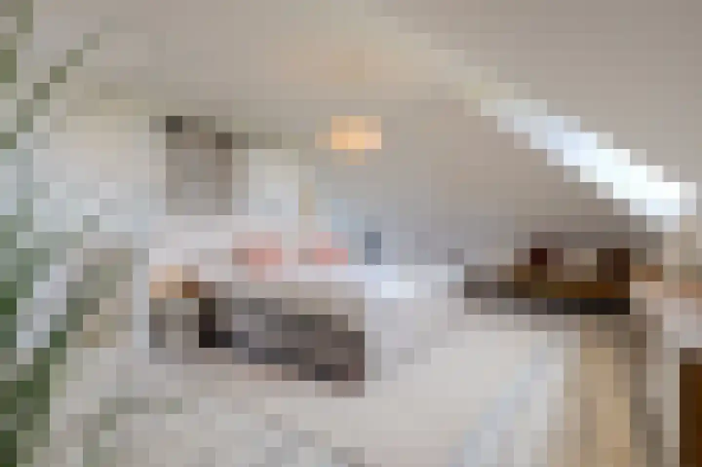 Ultramarijn 20 Dronten thumbnail 46