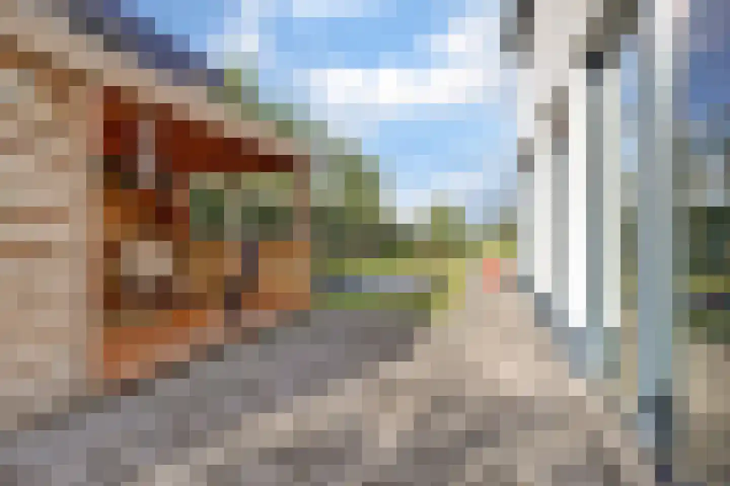 Ultramarijn 20 Dronten thumbnail 66