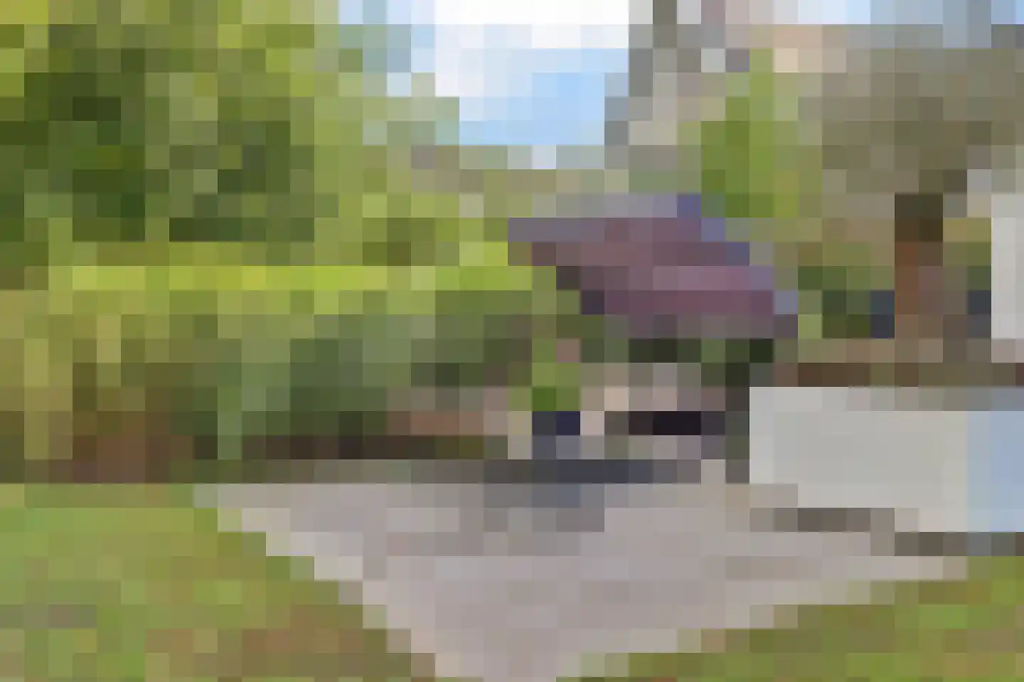 Ultramarijn 20 Dronten thumbnail 72