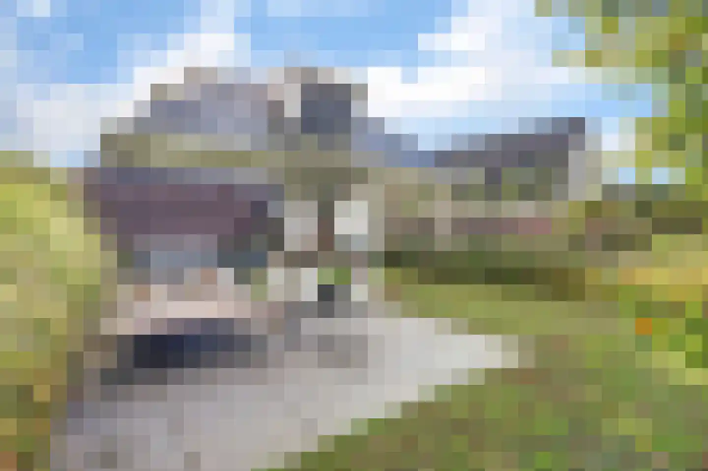 Ultramarijn 20 Dronten thumbnail 73