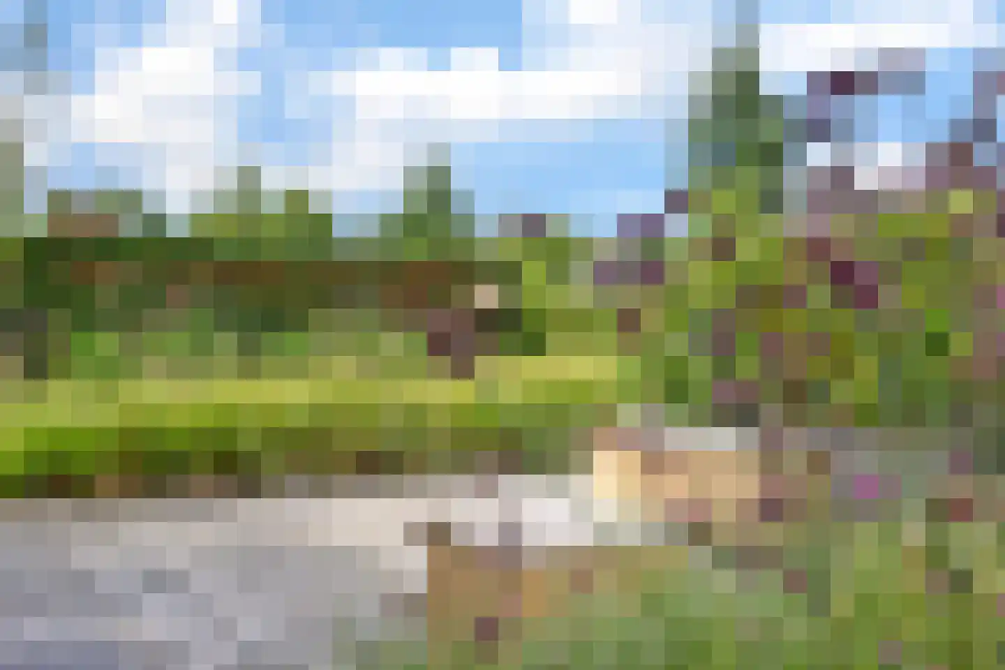 Ultramarijn 20 Dronten thumbnail 76