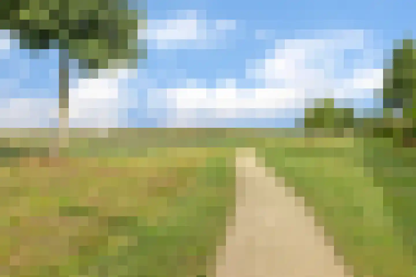 Ultramarijn 20 Dronten thumbnail 78