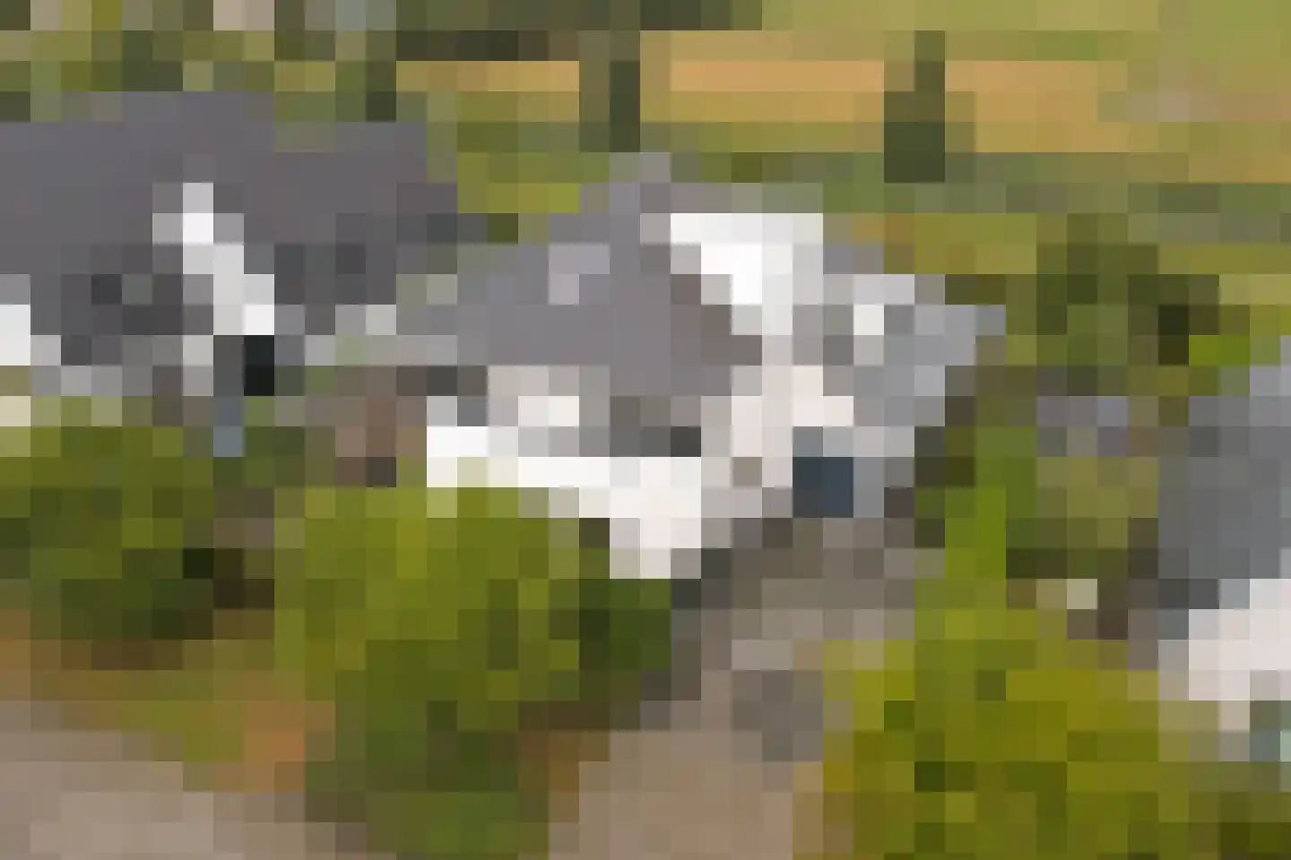 Ultramarijn 20 Dronten thumbnail 81