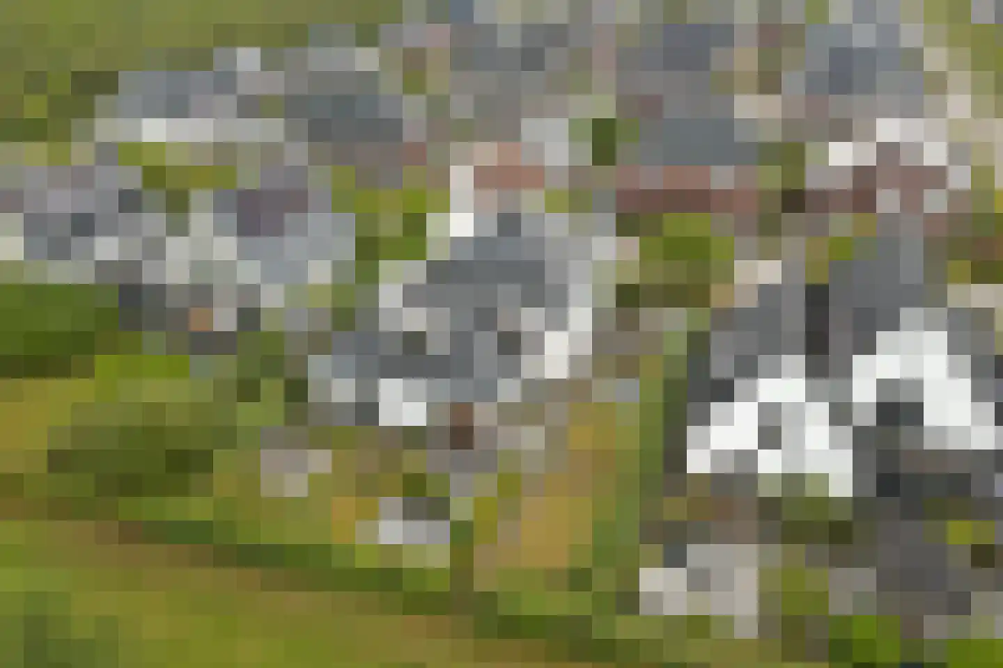 Ultramarijn 20 Dronten thumbnail 84