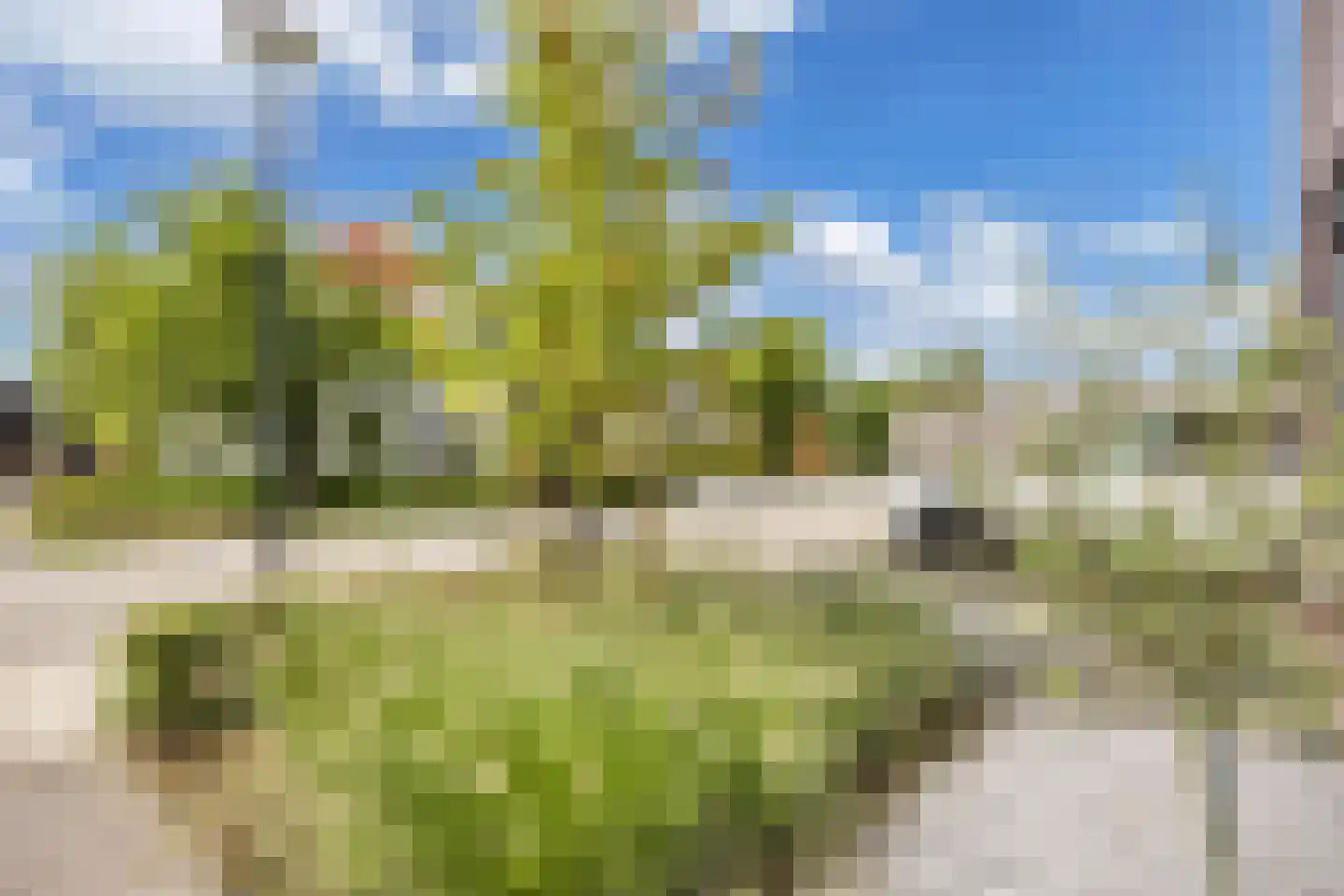Ultramarijn 34 Dronten thumbnail 11