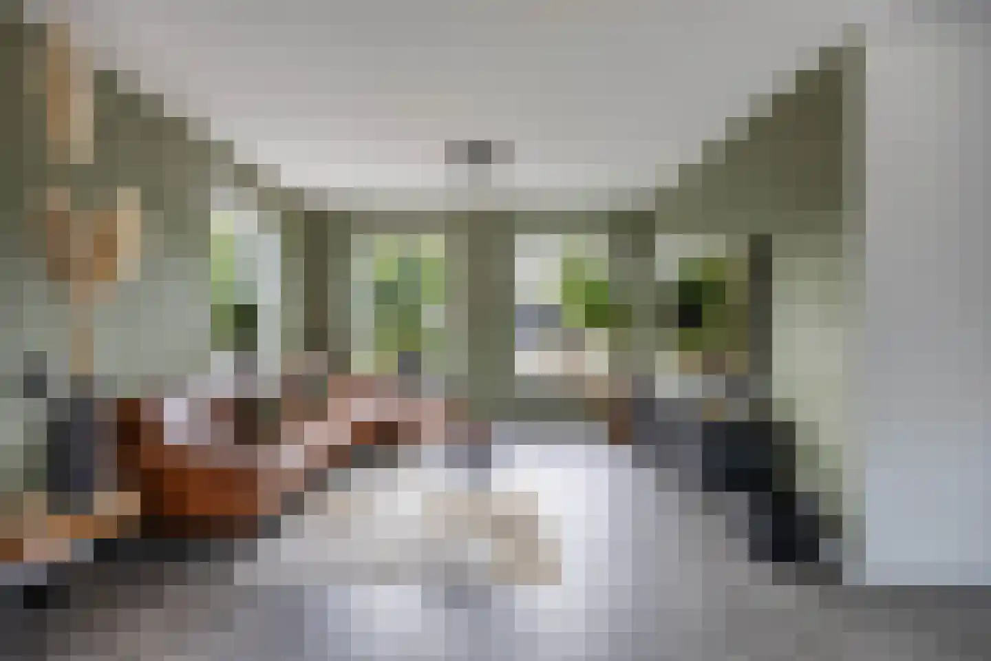 Ultramarijn 34 Dronten thumbnail 30