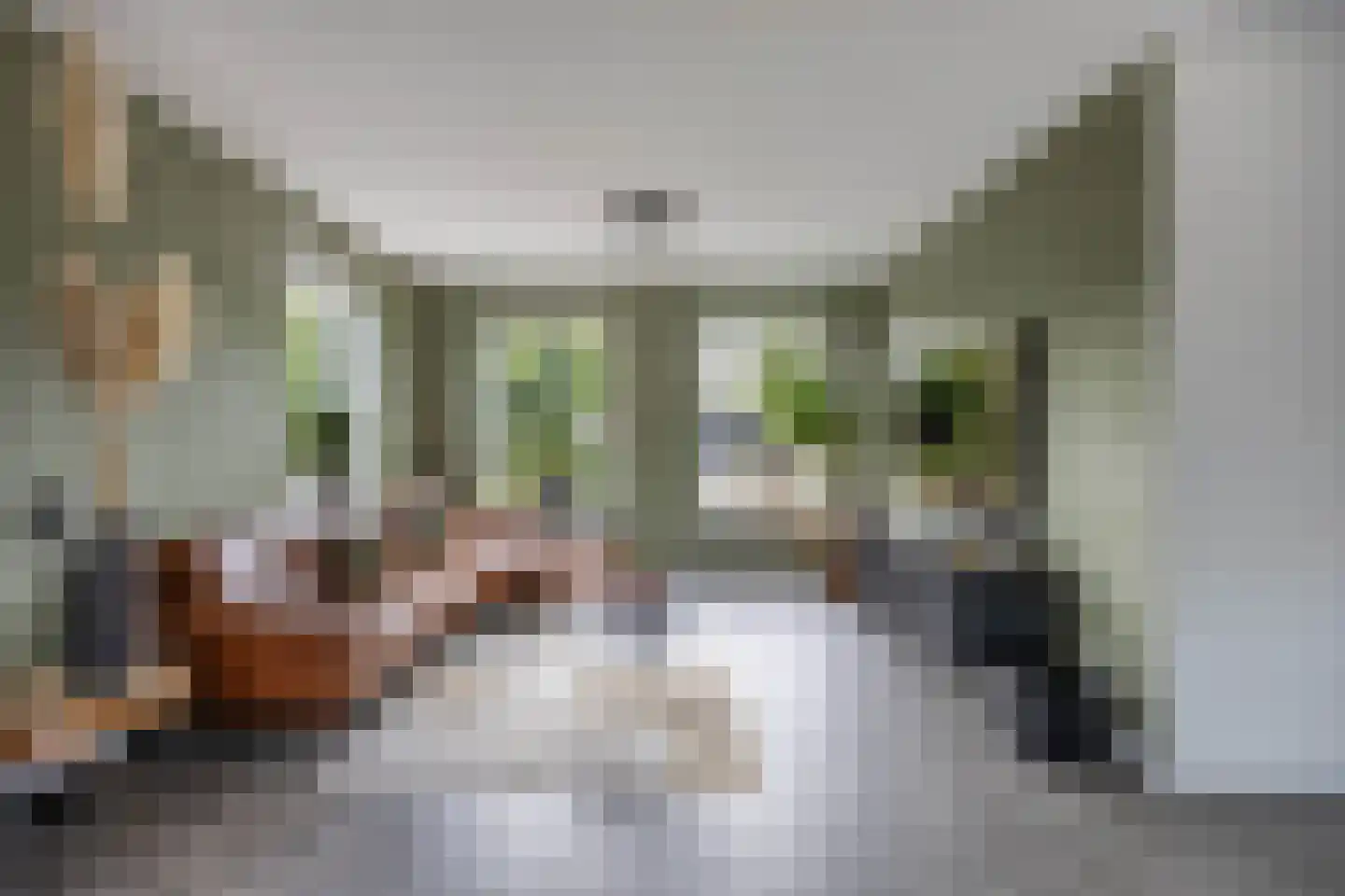 Ultramarijn 34 Dronten thumbnail 31