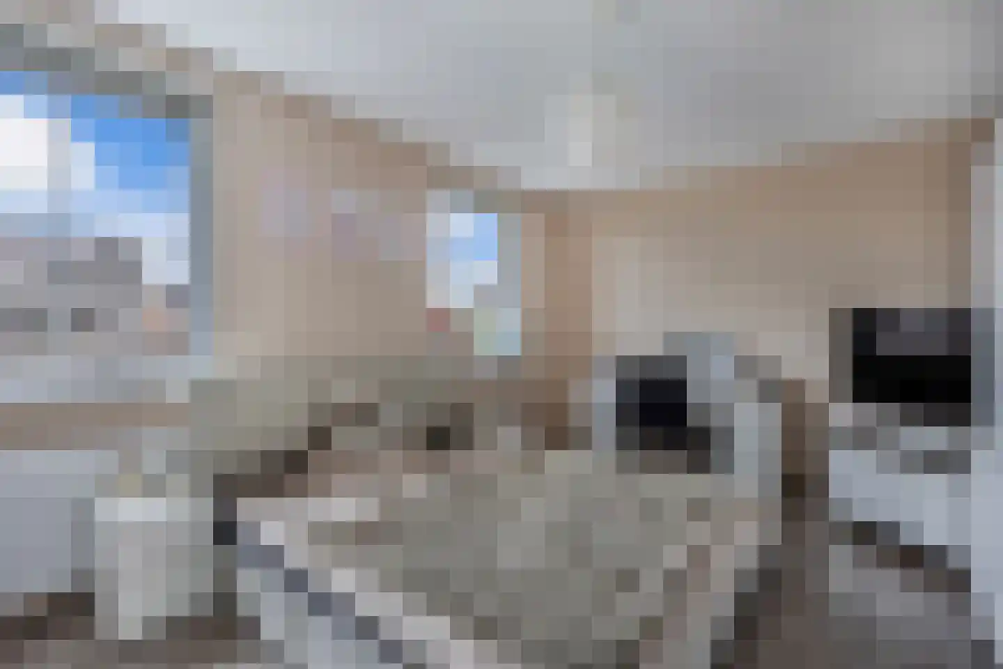 Ultramarijn 34 Dronten thumbnail 41