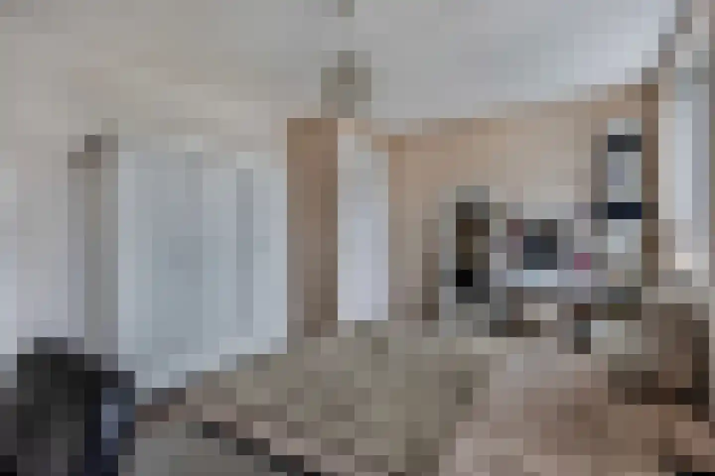Ultramarijn 34 Dronten thumbnail 42